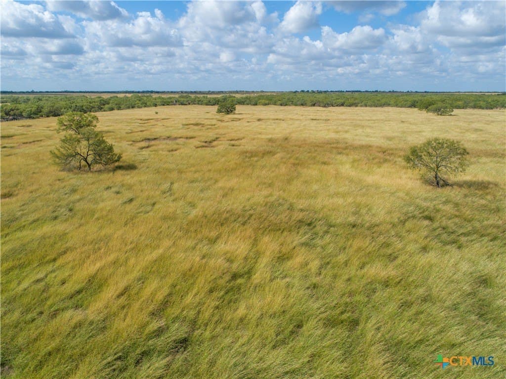 37.45 acres in Atascosa County - photo 10