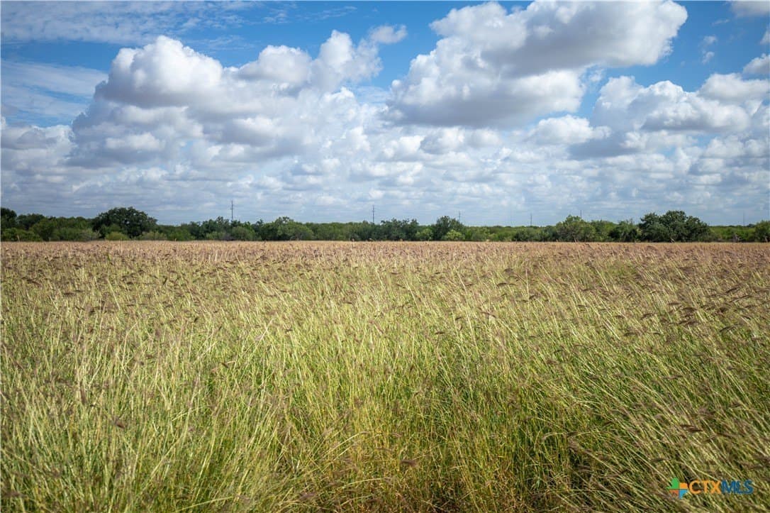 37.45 acres in Atascosa County - photo 9