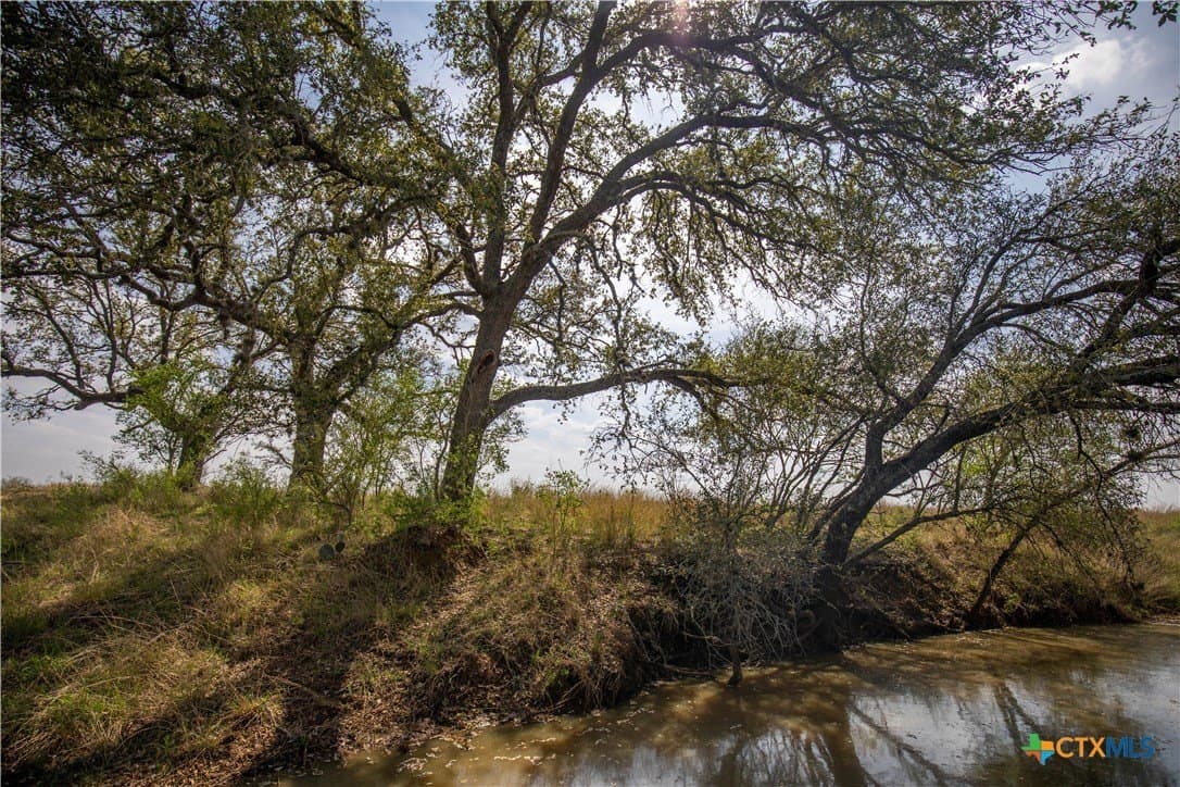 37.45 acres in Atascosa County - photo 13