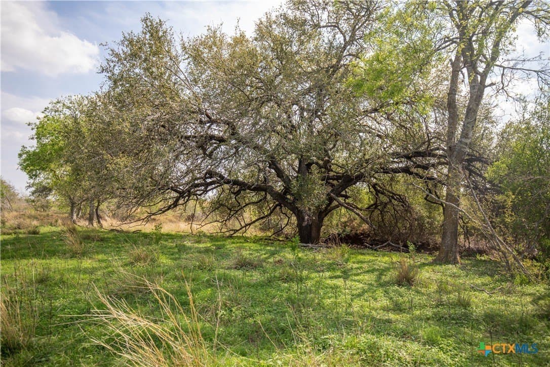 37.45 acres in Atascosa County - photo 36