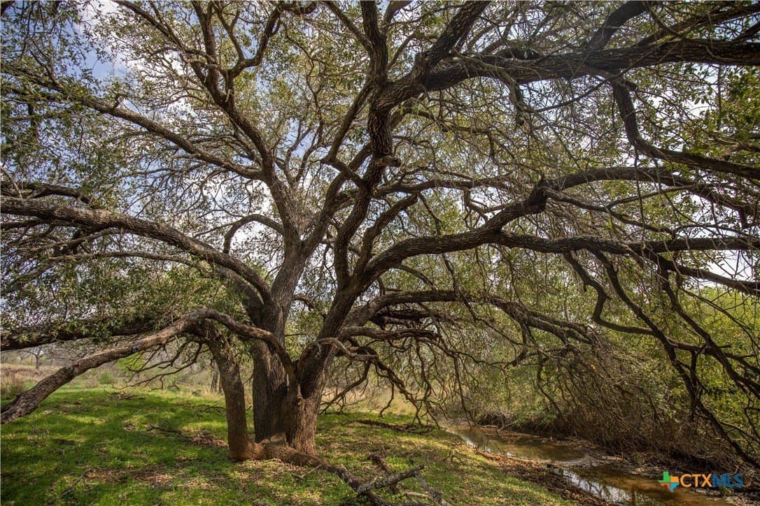 37.45 acres in Atascosa County - photo 12