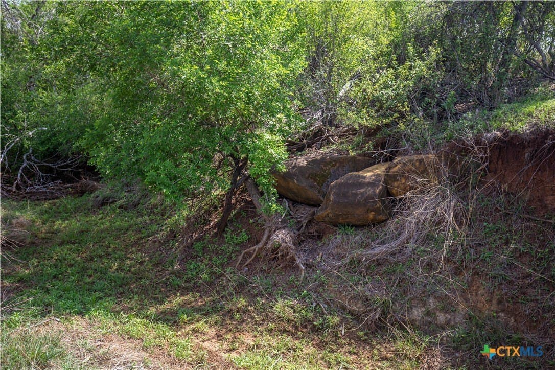 37.45 acres in Atascosa County - photo 32