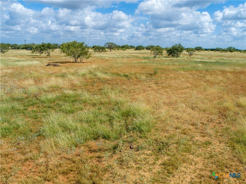 37.45 acres in Atascosa County - photo 17