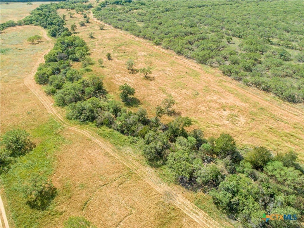37.45 acres in Atascosa County - photo 7