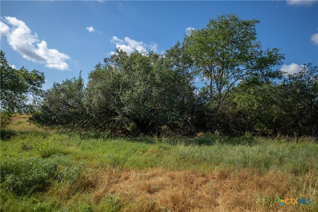 37.45 acres in Atascosa County - photo 25