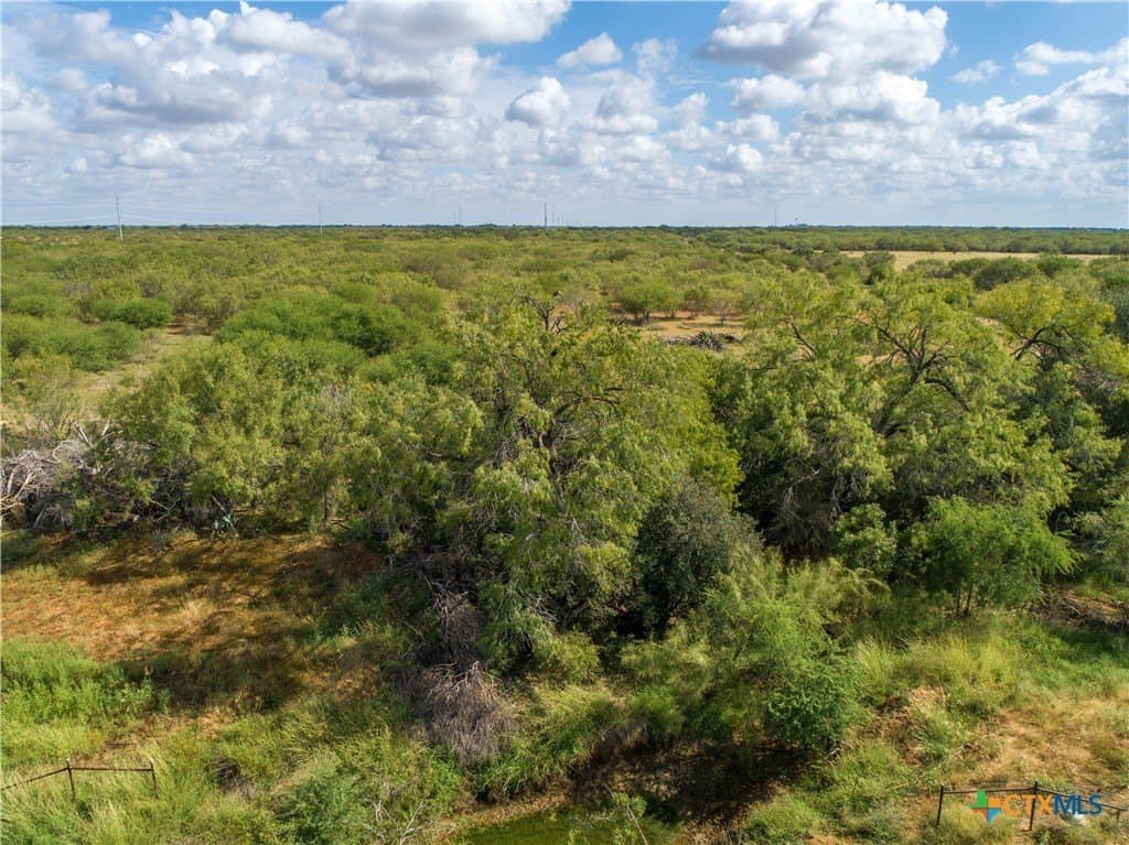 37.45 acres in Atascosa County - photo 14
