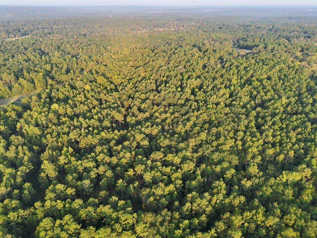 88 acres in ANDERSON County - photo 14