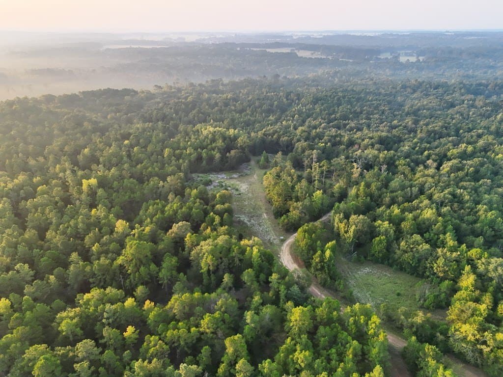 88 acres in ANDERSON County - photo 5