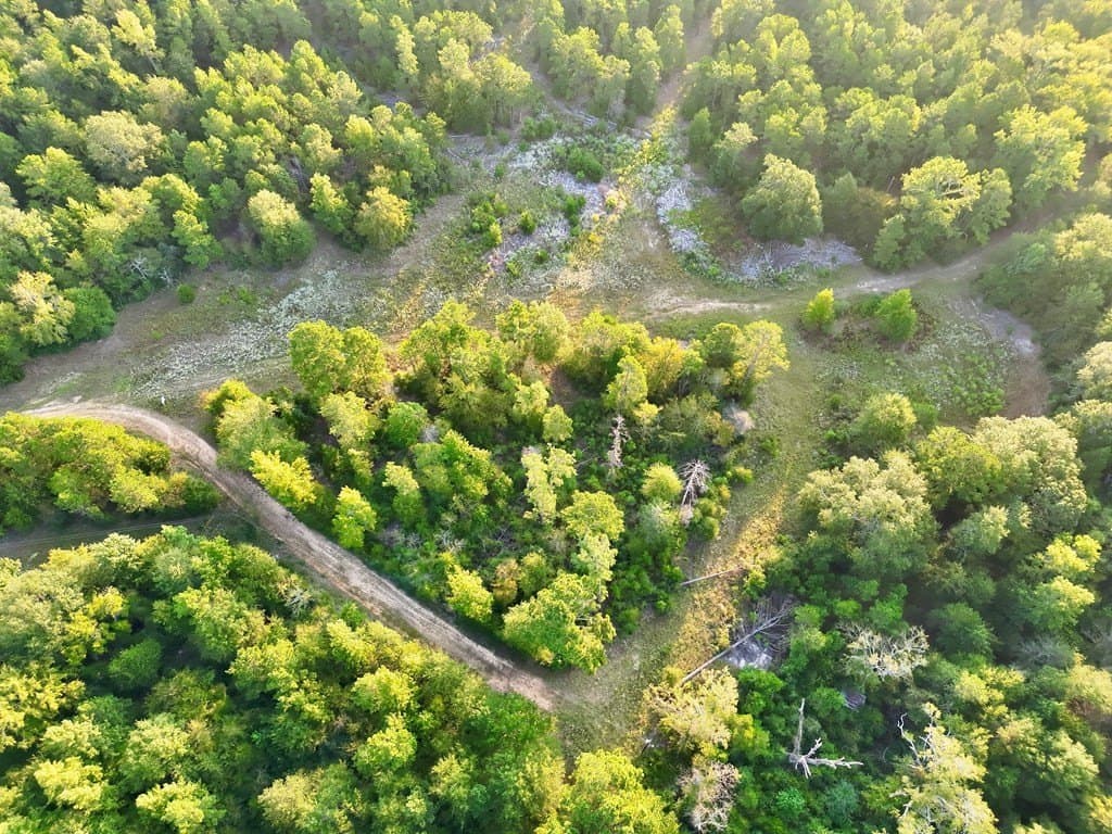 88 acres in ANDERSON County - photo 16