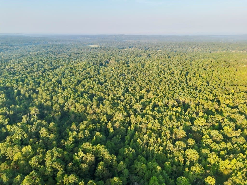 88 acres in ANDERSON County - photo 12