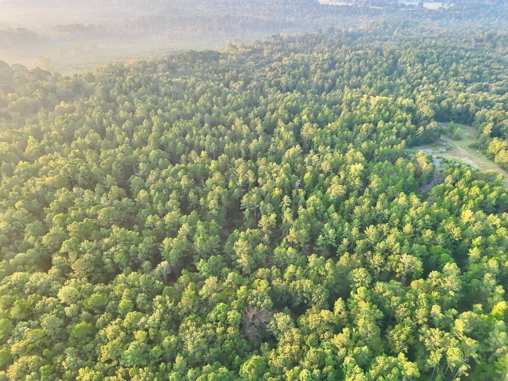 88 acres in ANDERSON County - photo 10
