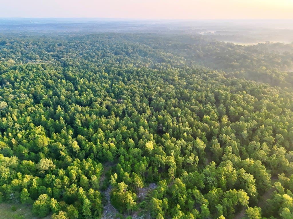 88 acres in ANDERSON County - photo 11