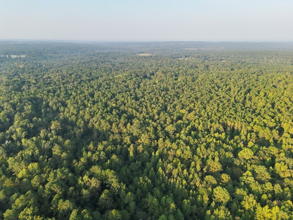 88 acres in ANDERSON County - photo 13