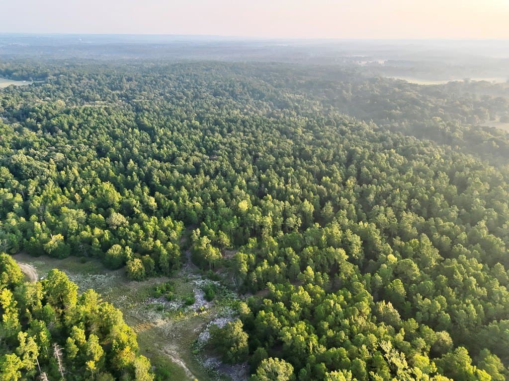 88 acres in ANDERSON County - photo 6