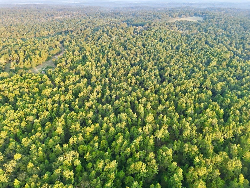 88 acres in ANDERSON County - photo 3