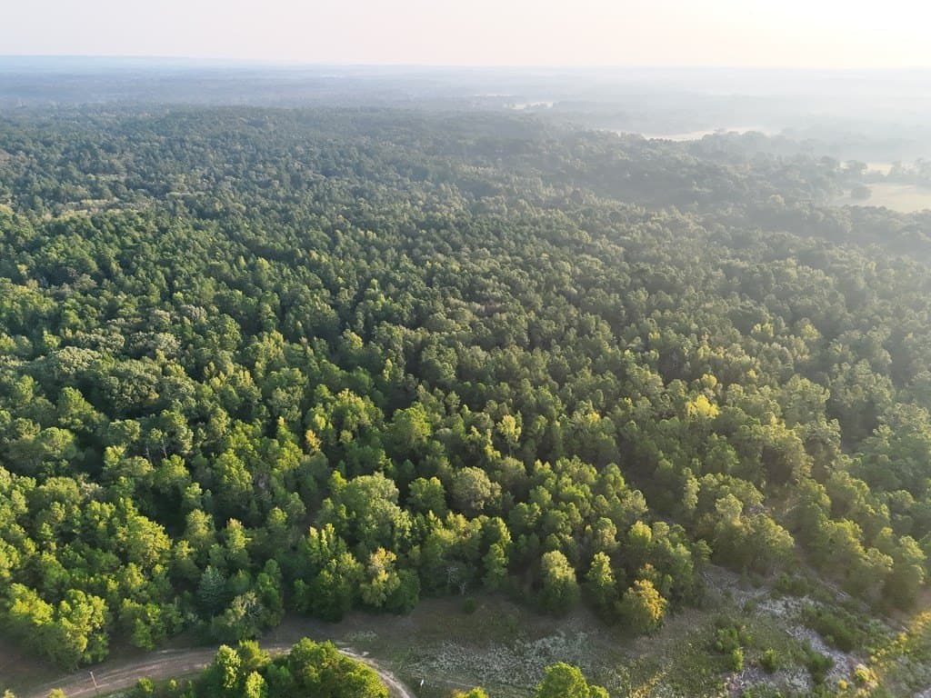 88 acres in ANDERSON County - photo 15