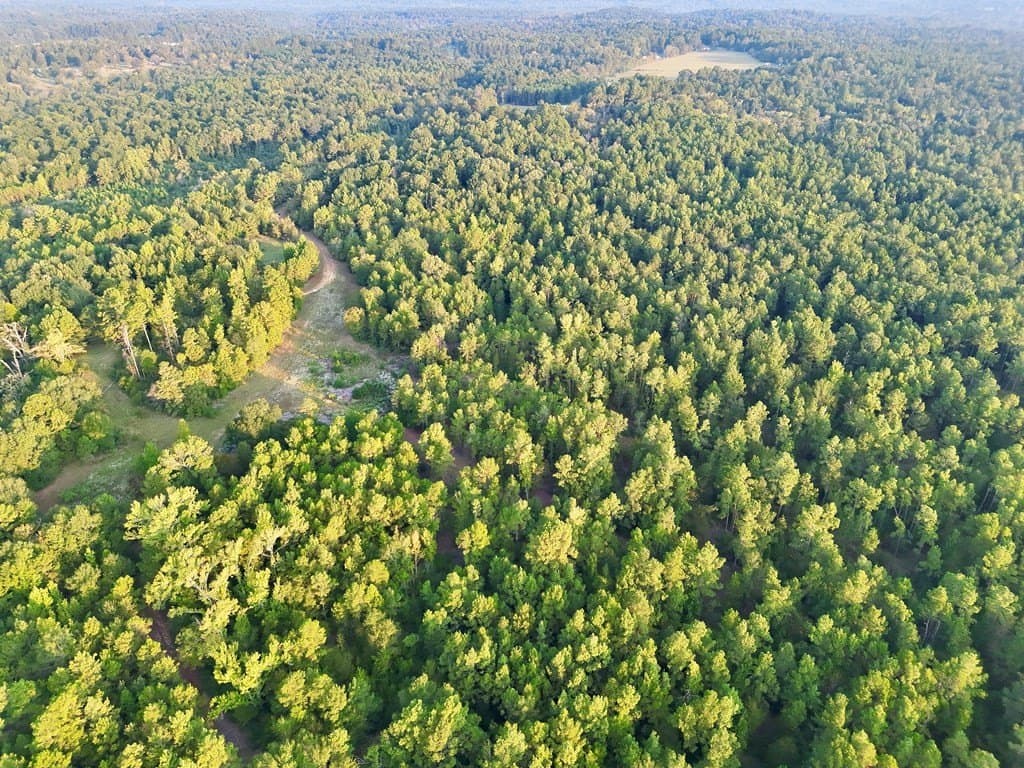88 acres in ANDERSON County - photo 8