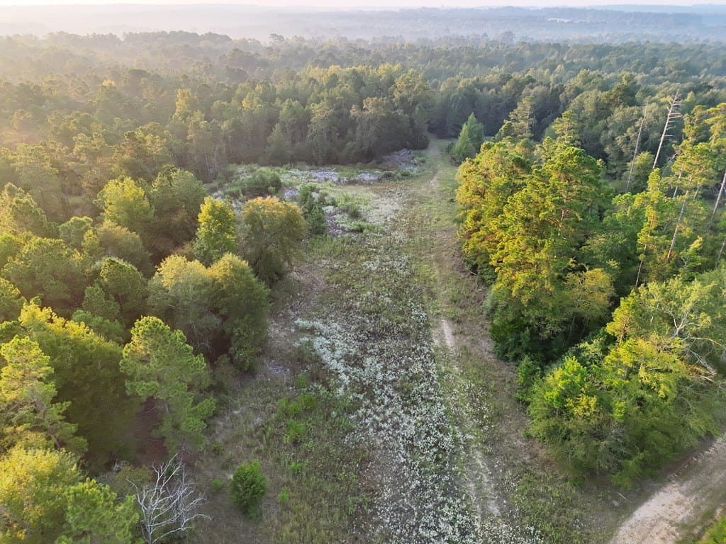 88 acres in ANDERSON County - photo 7