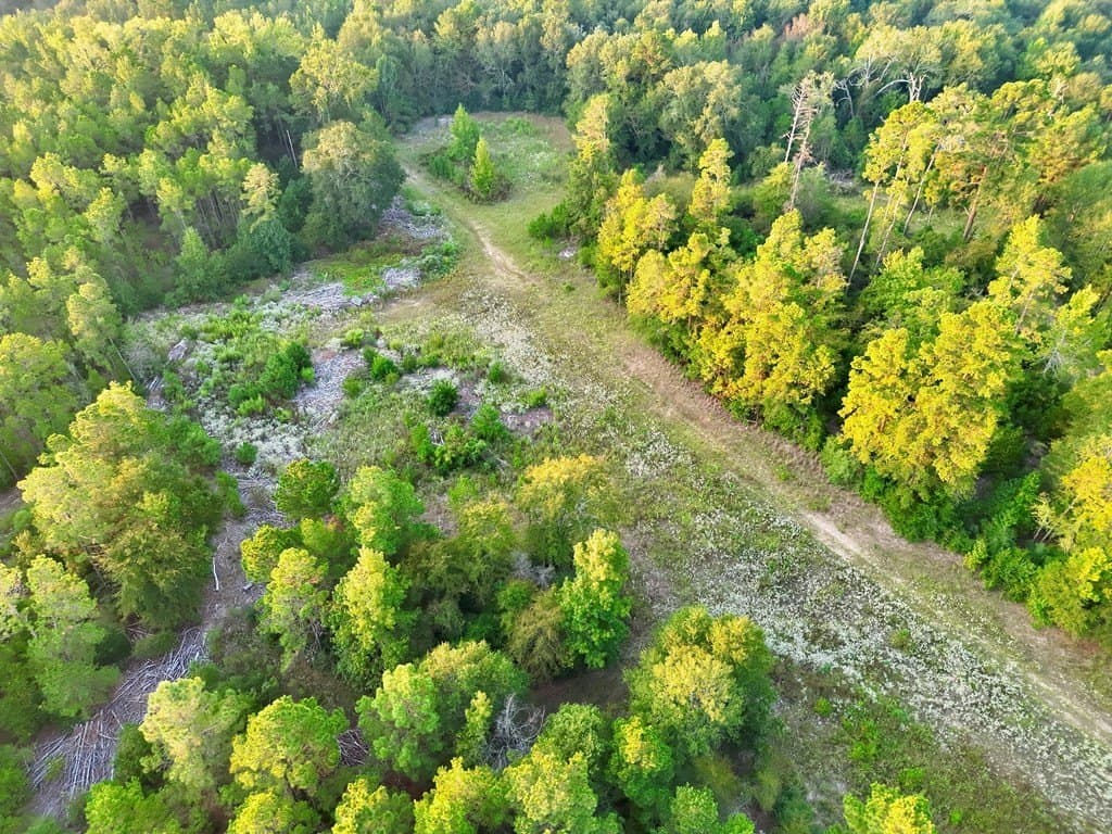 88 acres in ANDERSON County - photo 9