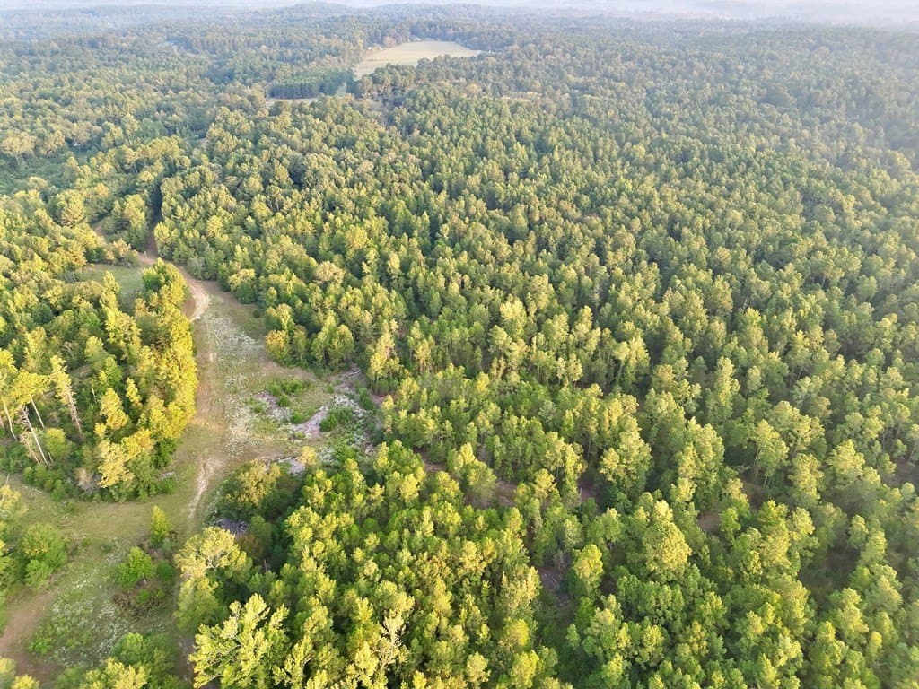 88 acres in ANDERSON County - photo 2