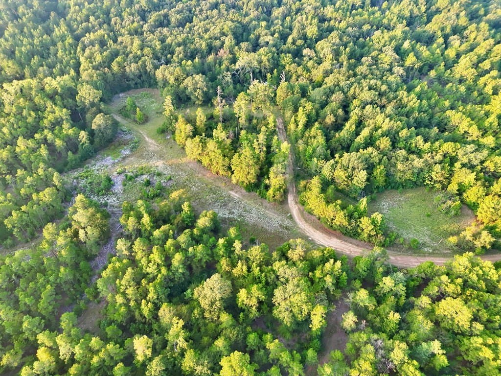 88 acres in ANDERSON County - photo 4