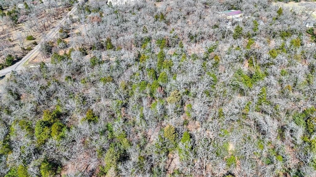 1 acres in Freestone County - photo 12
