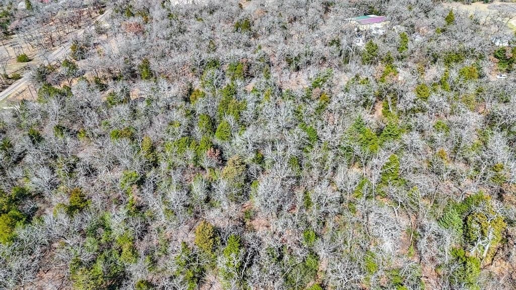 1 acres in Freestone County - photo 13