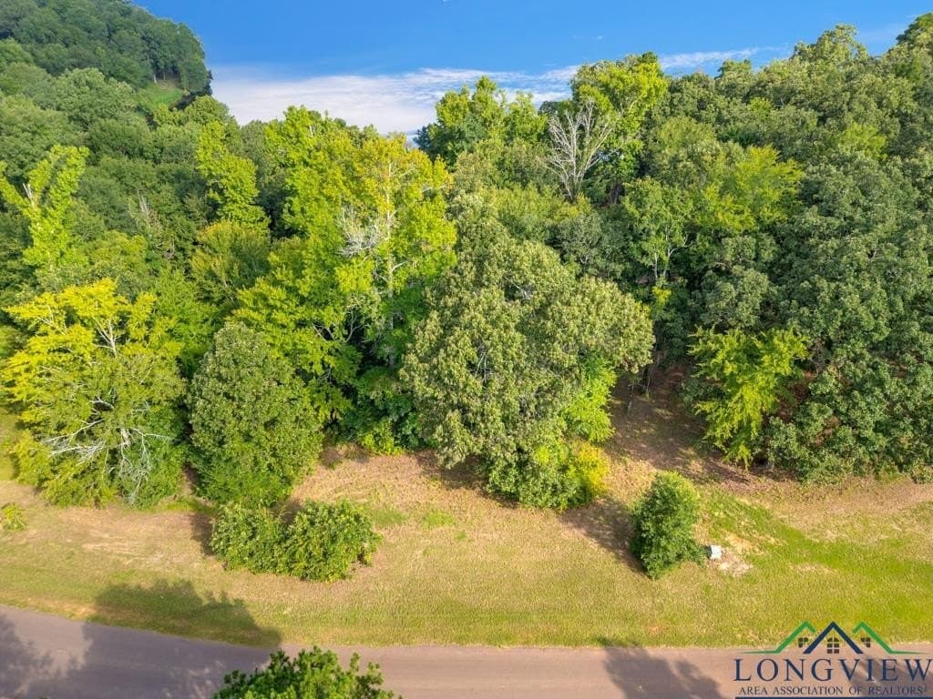 0.8 acres in Texas County - photo 18
