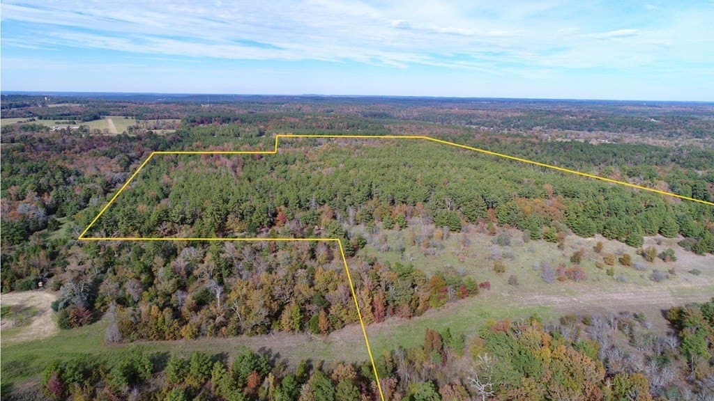 113.9 acres in ANDERSON County - photo 2