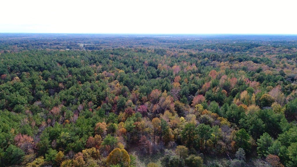 113.9 acres in ANDERSON County - photo 9