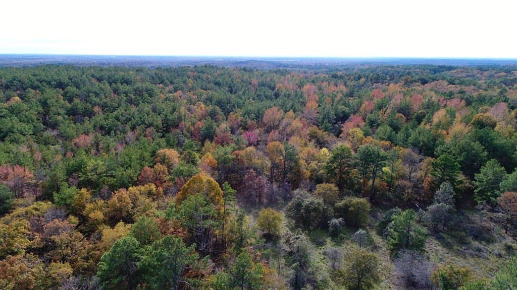 113.9 acres in ANDERSON County - photo 4