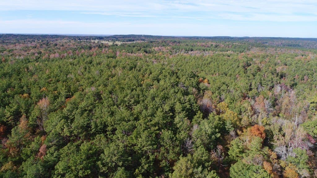 113.9 acres in ANDERSON County - photo 3