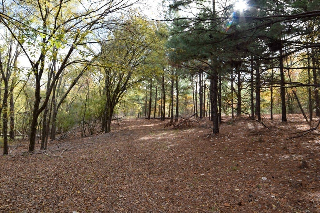 113.9 acres in ANDERSON County - photo 8