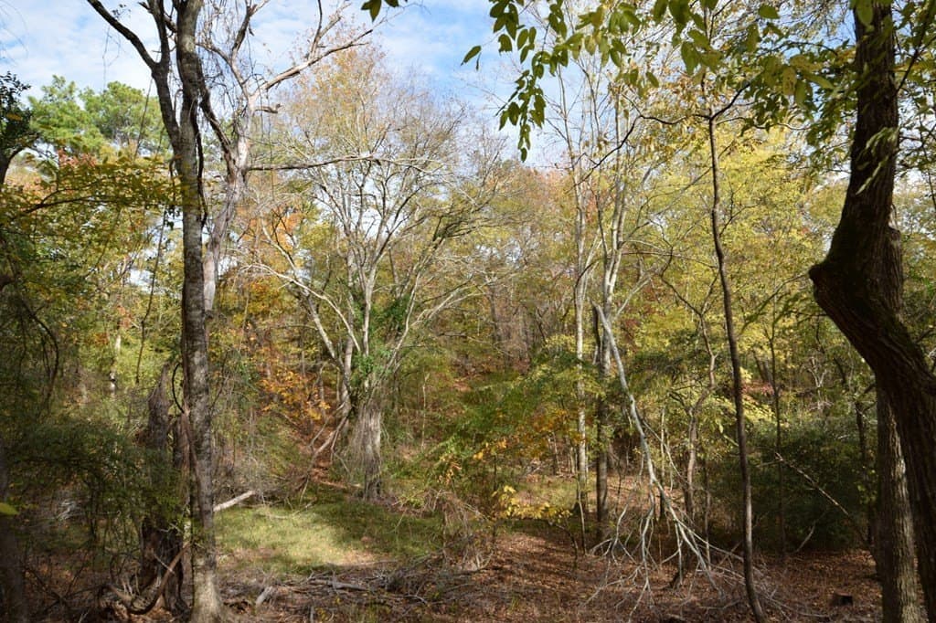 113.9 acres in ANDERSON County - photo 5