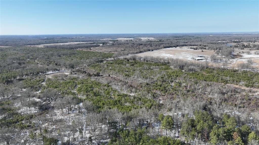 566.67 acres in Red River County - photo 29