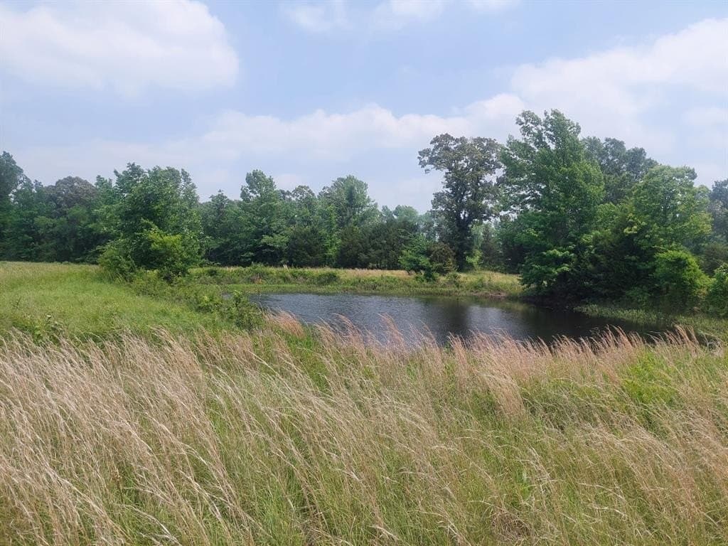 566.67 acres in Red River County - photo 3