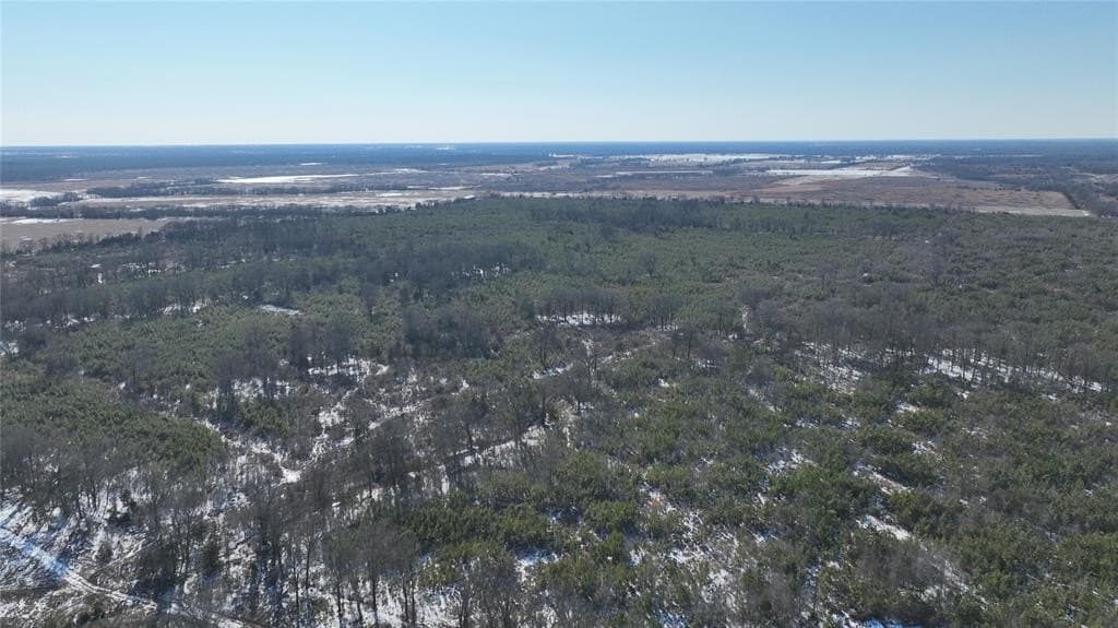 566.67 acres in Red River County - photo 19