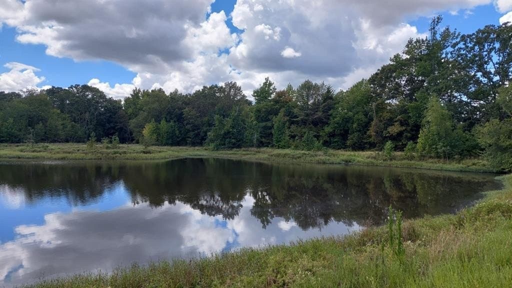 566.67 acres in Red River County - photo 5