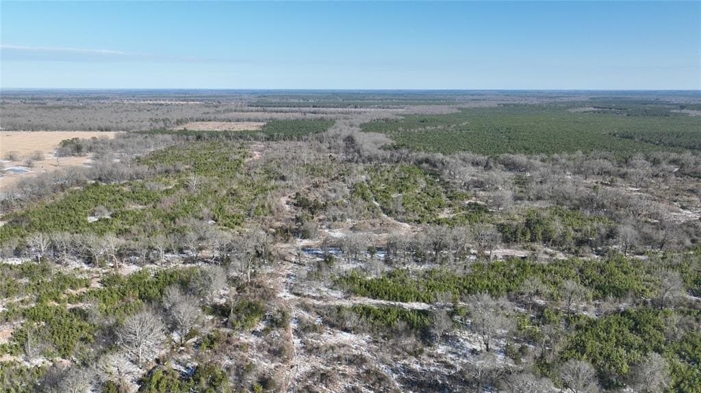 566.67 acres in Red River County - photo 33