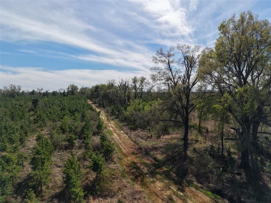 566.67 acres in Red River County - photo 40