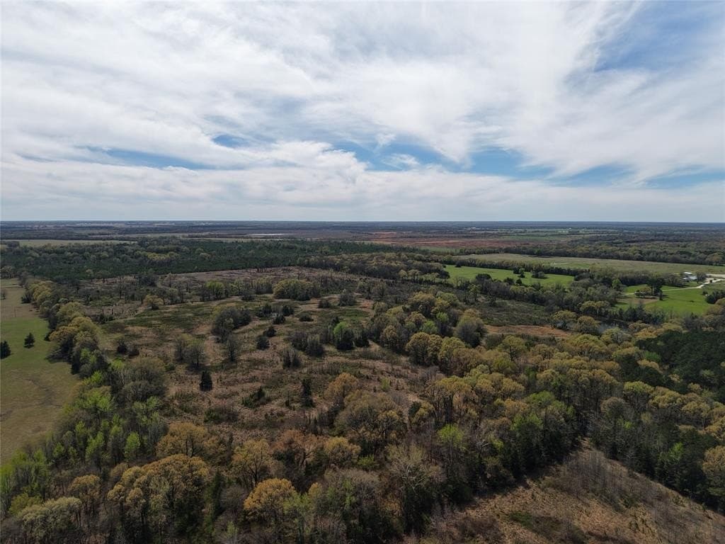 566.67 acres in Red River County - photo 39