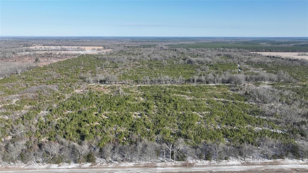 566.67 acres in Red River County - photo 28