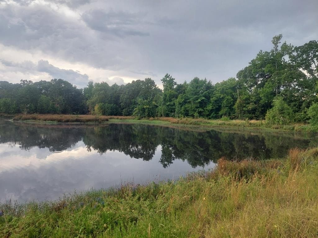 566.67 acres in Red River County - photo 4