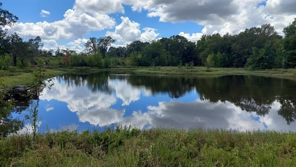 566.67 acres in Red River County - photo 2