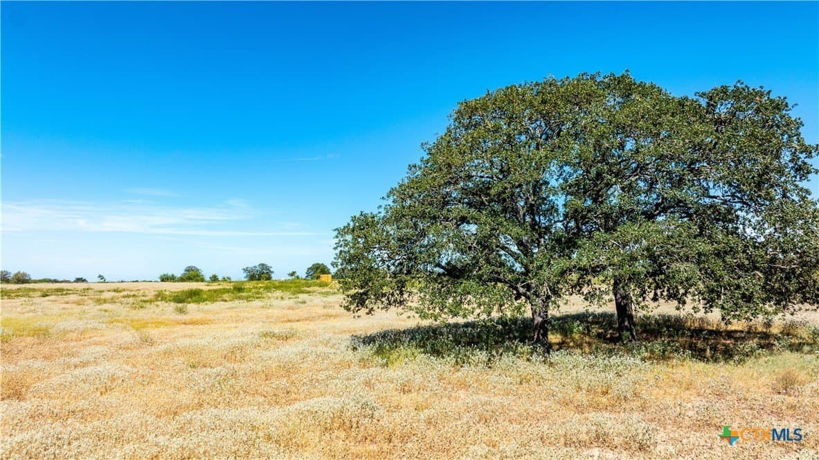 10.8 acres in Caldwell County - photo 17