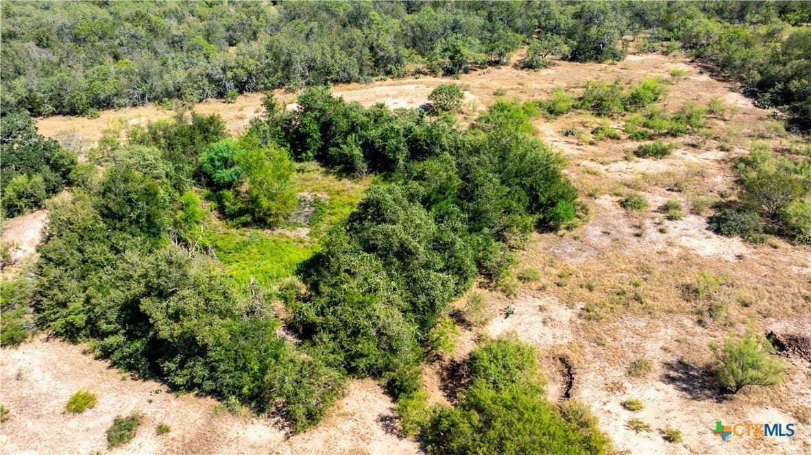 10.8 acres in Caldwell County - photo 8