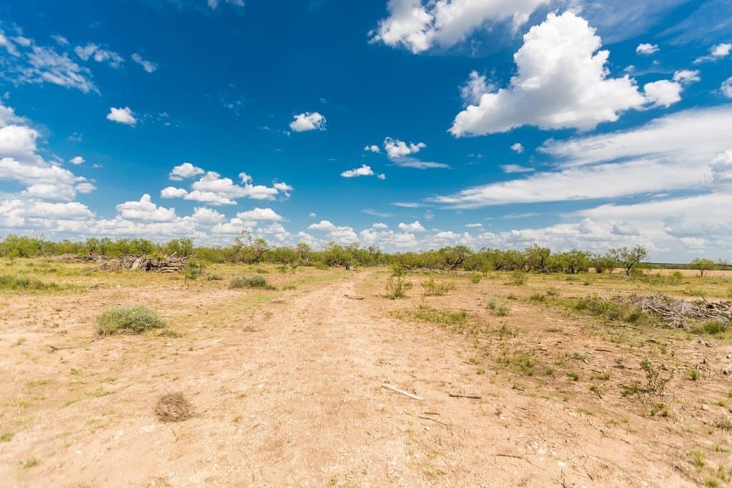 311 acres in Runnels County - photo 19