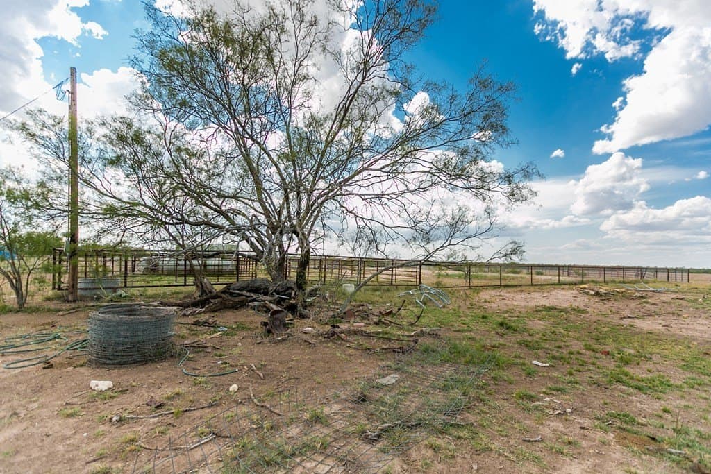 311 acres in Runnels County - photo 37