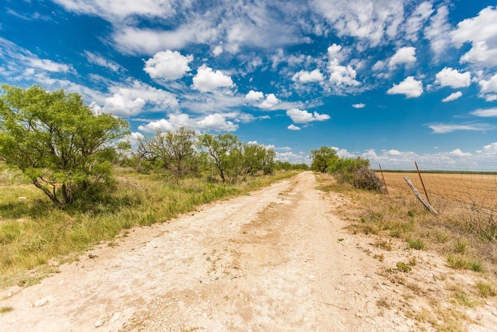 311 acres in Runnels County - photo 2