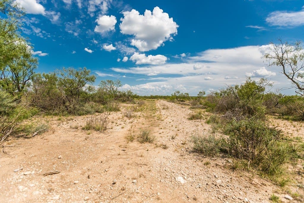 311 acres in Runnels County - photo 5